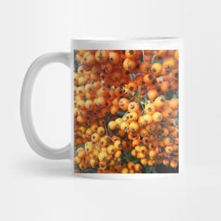 Orange Berries Seaberry Mug